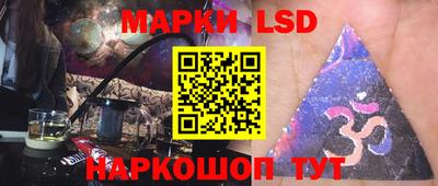 стаф Новодвинск