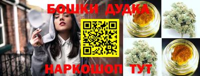 стаф Новодвинск