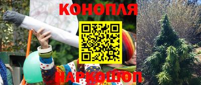 не бодяженный Новокубанск