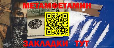 сатива Новозыбков
