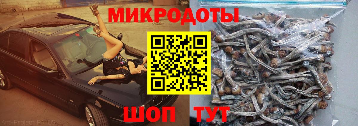 Псилоцибиновые грибы мицелий  Вход с VPN  Галлюциногенные грибы мухоморы  Тверь 